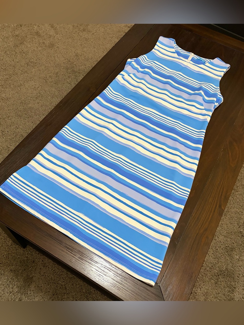 J. McLaughlin Sleeveless Sophia Dress Catalina Cloth Blue Stripe Print Sheath - Picture 8 of 10